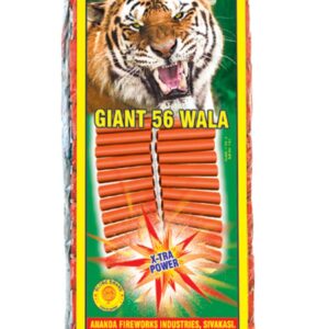 56 gaint