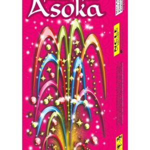 Flower pots - ashoka
