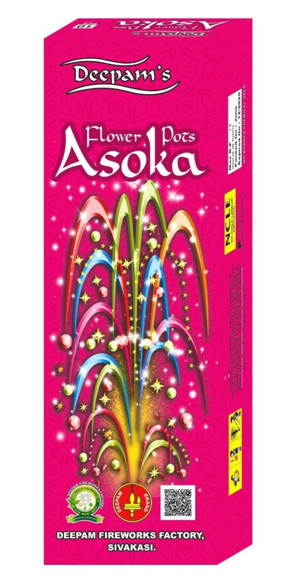 Flower pots - ashoka
